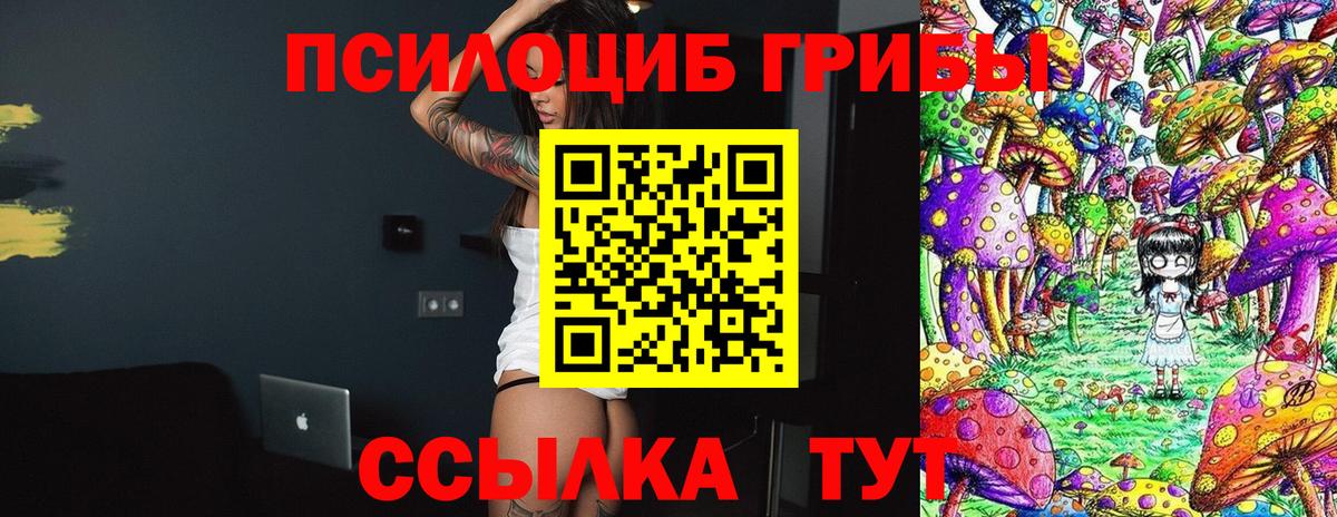 Гулькевичи  Галлюциногенные грибы MAGIC MUSHROOMS  Псилоцибиновые грибы MAGIC MUSHROOMS  Вход с VPN 